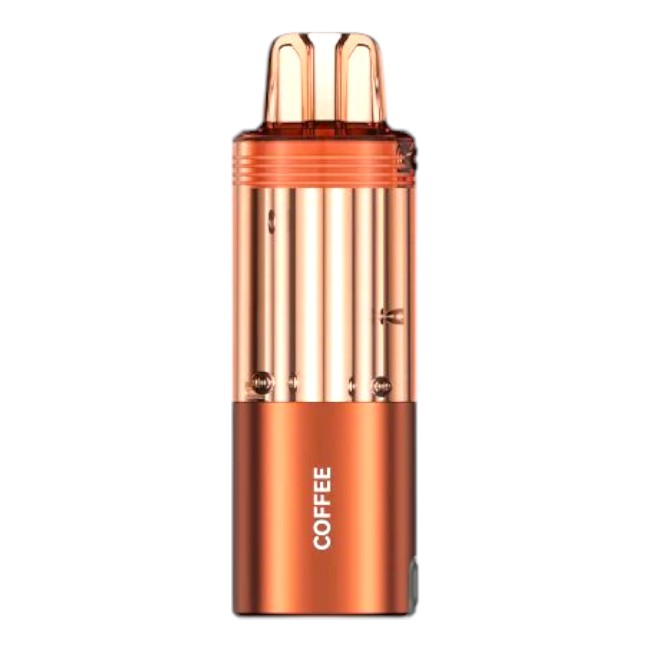 FOGER SWITCH PRO POD 30000 5% - COFFEE