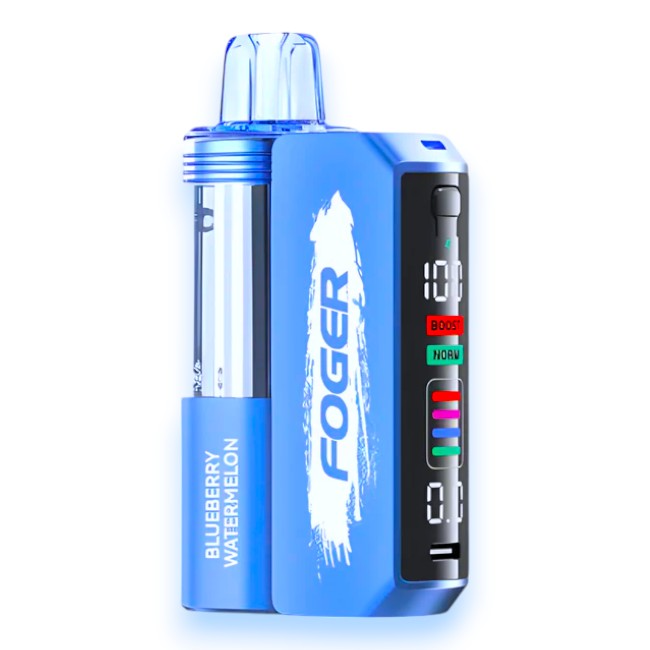 FOGER SWITCH PRO KIT 30000 5% - BLUEBERRY WATERMELON