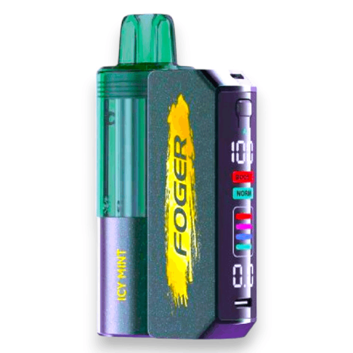 FOGER SWITCH PRO KIT 30000 5% - ICY MINT